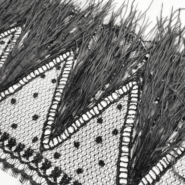 Capesante A Forma Di Ventaglio Immagini E Fotografie Stock Ad Alta - Foto 14