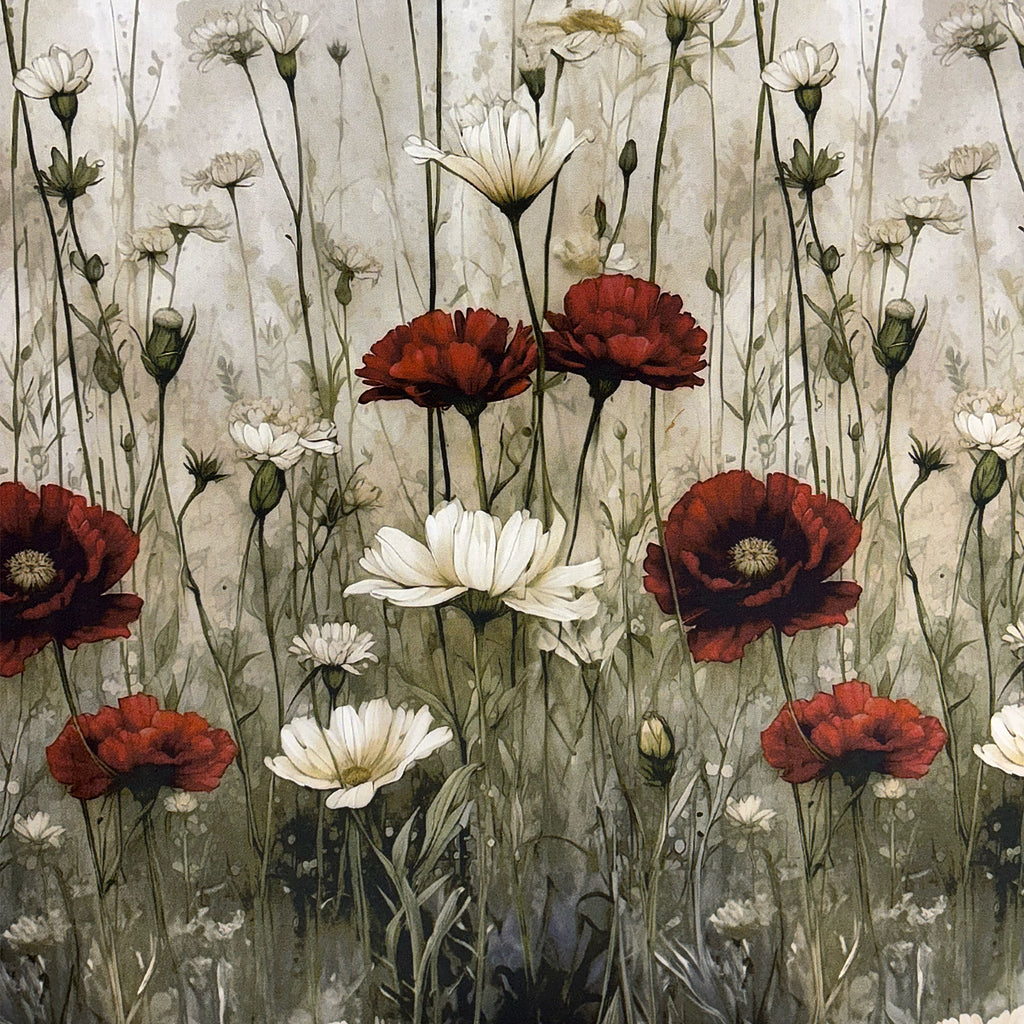 duchesse di cotone