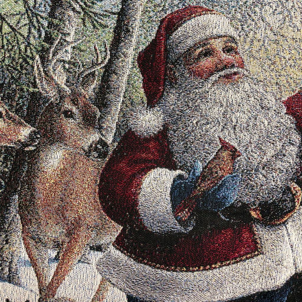 plaid americano di natale / fantasia 1