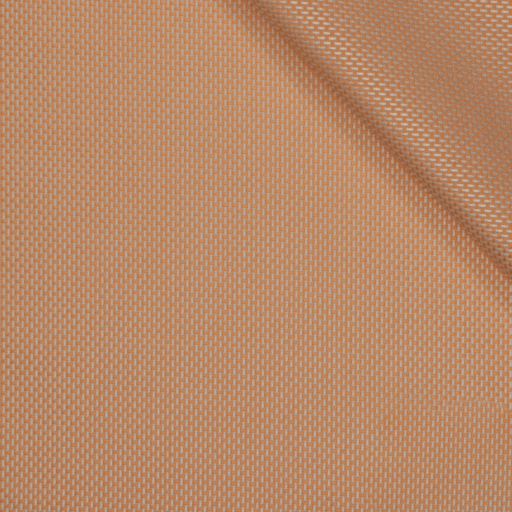 Royal oxford shirt fabric / color 7